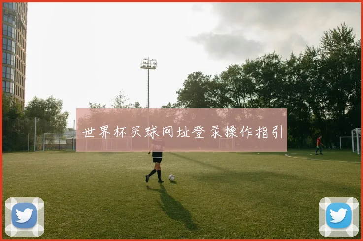 世界杯买球网址登录操作指引