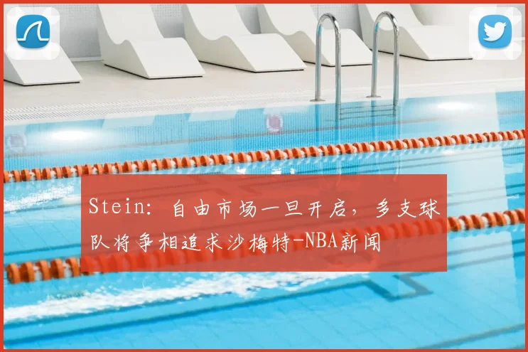 Stein：自由市场一旦开启，多支球队将争相追求沙梅特-NBA新闻